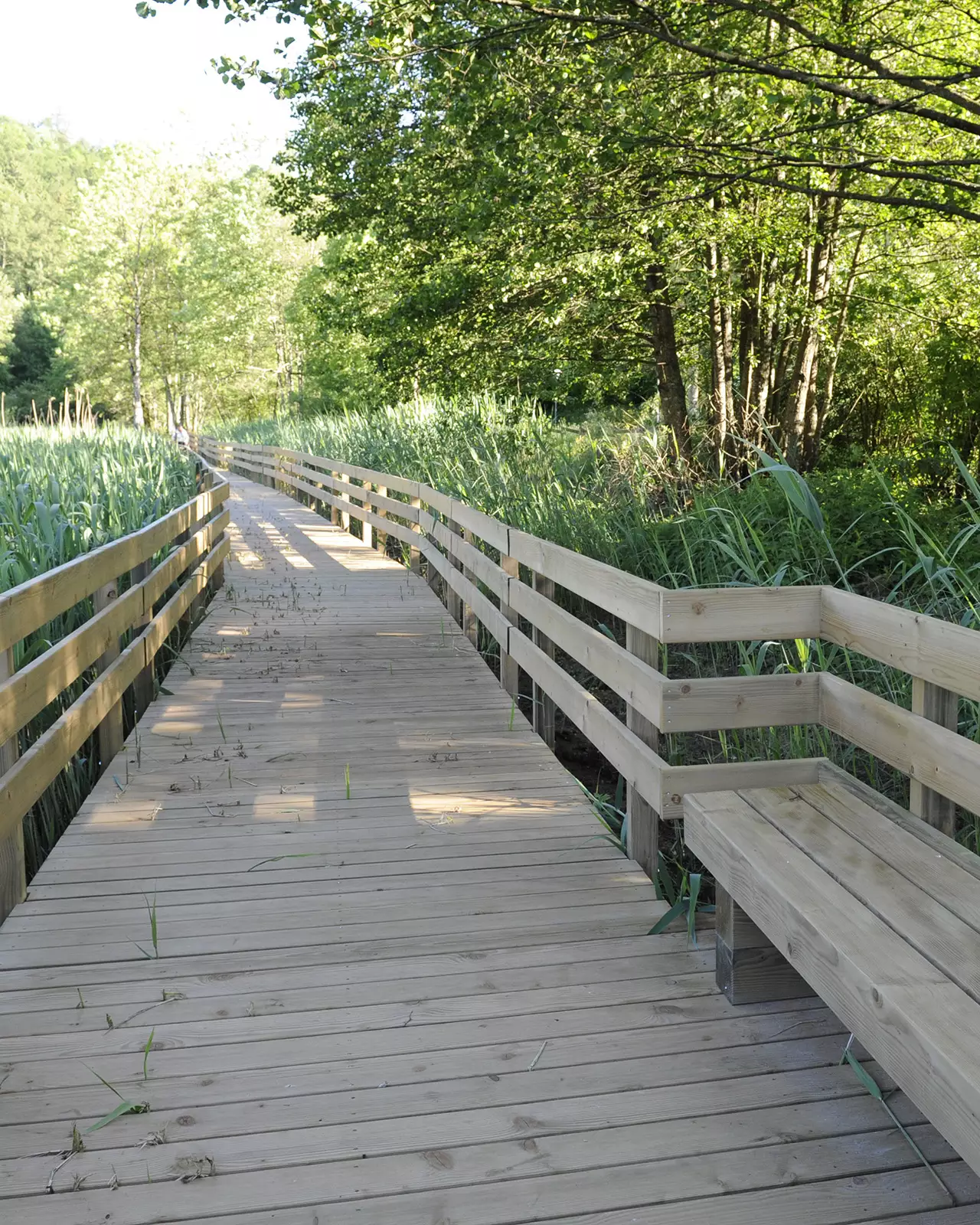 Passerelle réserve naturelle